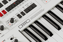 DMNO 8-Voice Analog-Hybrid Synthesizer