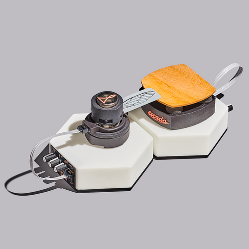 Cicada Pro Essential