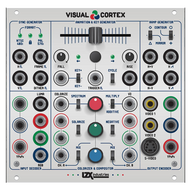 Visual Cortex